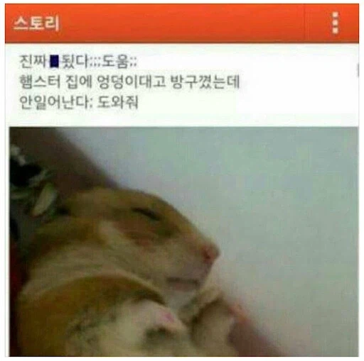 의외로 위험한거