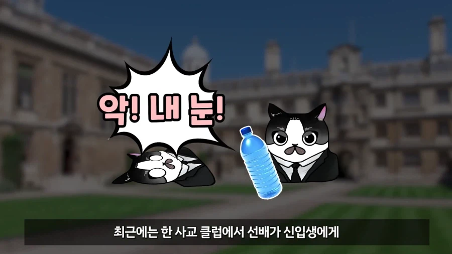 ???: 미개한 동아시아와는 달리 선진 서양에서는 신고식 같은 부조리가 없다_28.webp