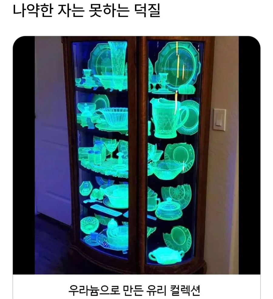 목숨을 건 덕질.jpg