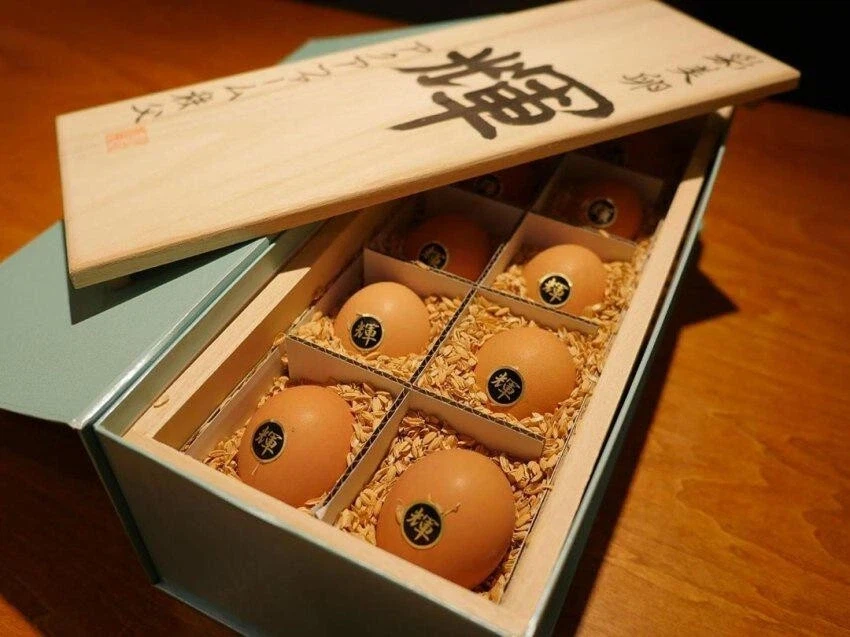 일본 고급달걀 보면 개인적으로 드는 생각_2.webp