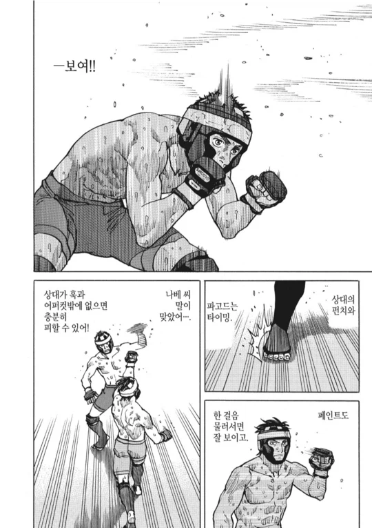 수싸움과 전략의 묘미가 좋았던 종합격투기(슈토) 만화_16.webp