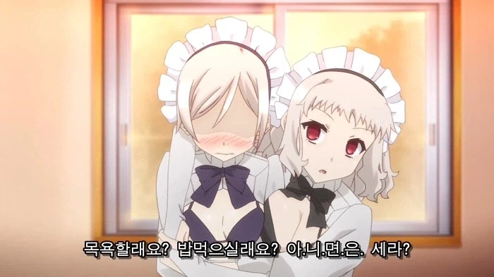 페이트) 외전 한정 정실캐_3.webp