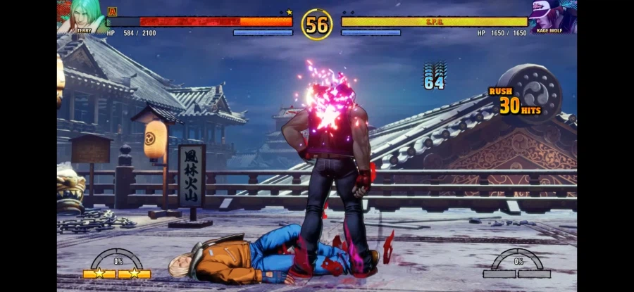 테리 보가드 최신근황_3.webp