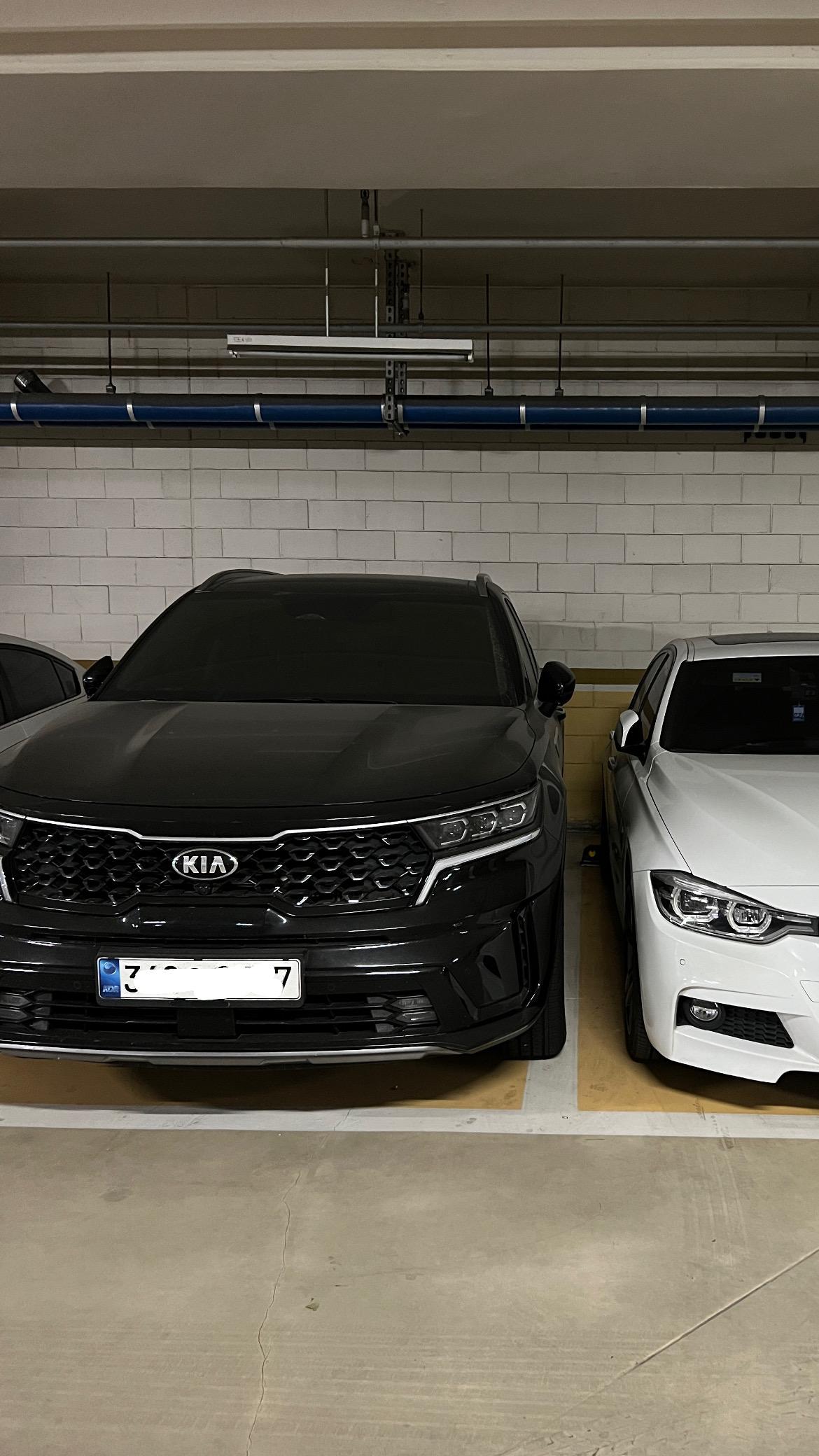 아파트에 개가 한마리 사는데 어떡할까요