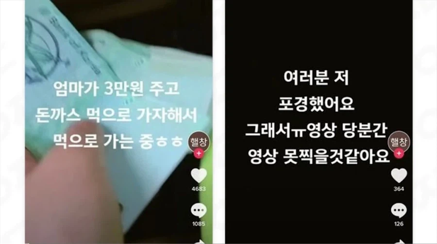 사기 당한 충격으로 활동을 쉬기로한 유튜버