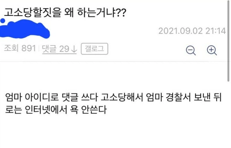 댓글로 고소 당할 짓을 안 하게 된 이유.jpg