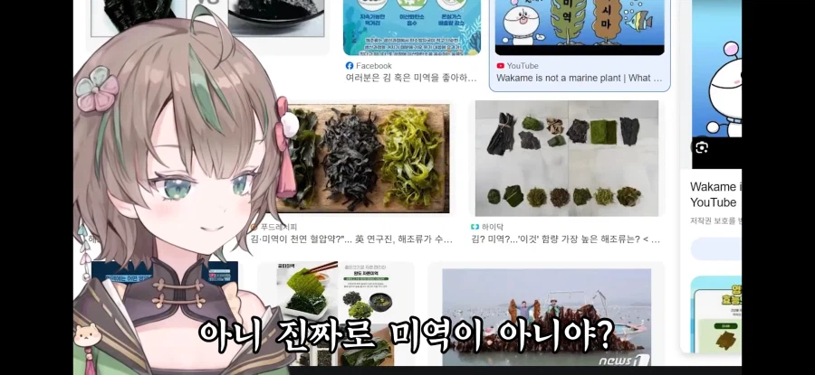 버튜버) 김 말린 게 미역이잖아요!_7.webp