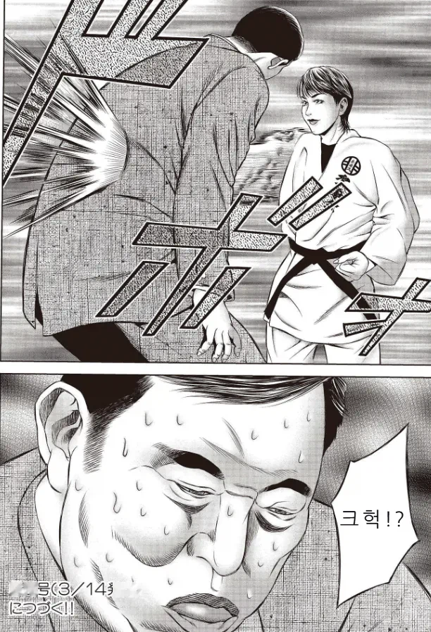 혐한만화 태권더 박 근황_16.webp