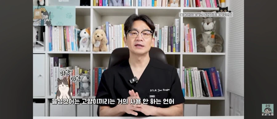 고양이가 집사를 