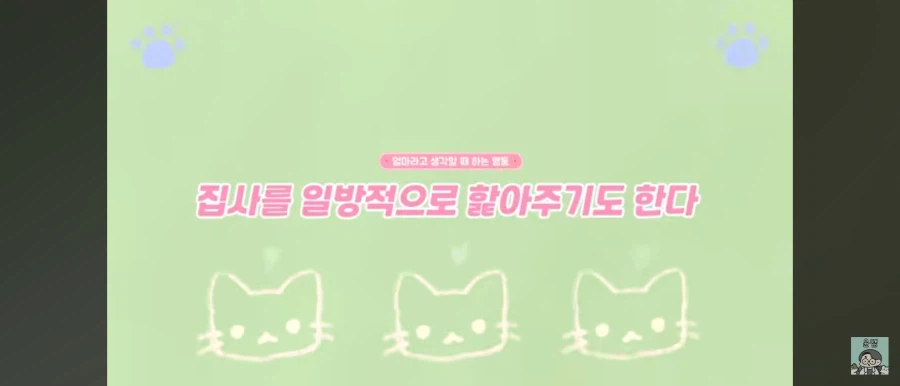 고양이가 집사를 