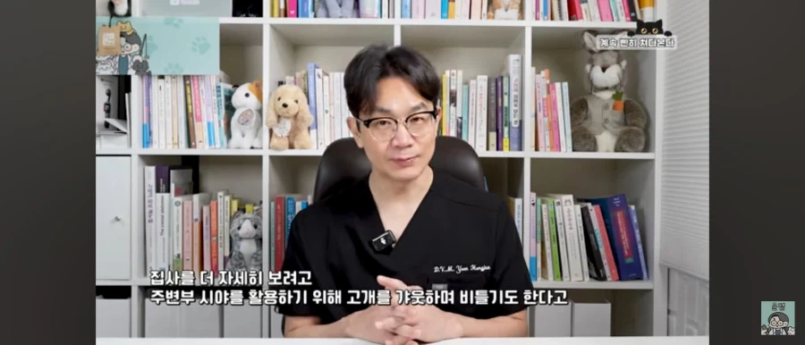 고양이가 집사를 