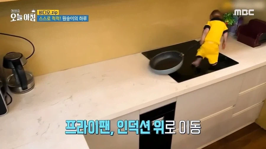 상위 1% 원숭이_9.webp