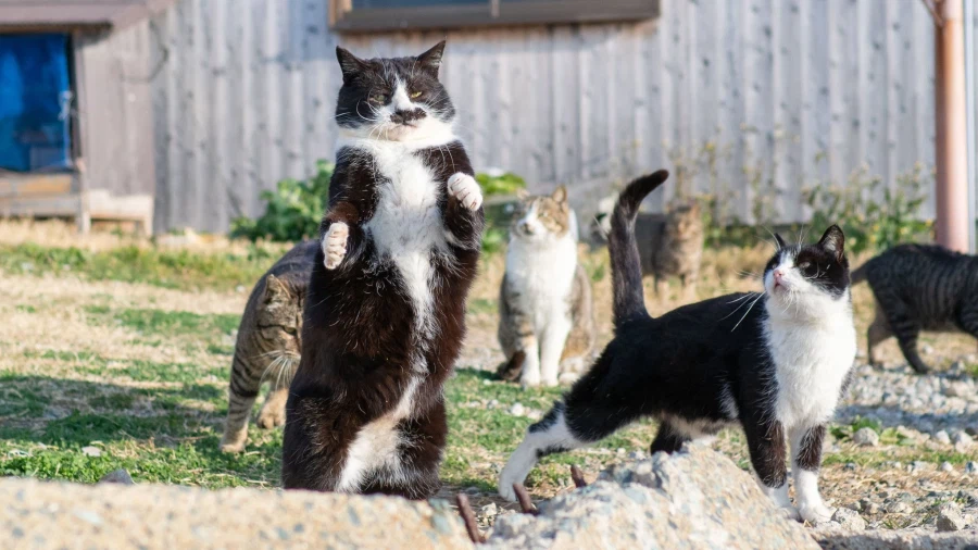 개인적으로 영화 리뷰 유튜버들을 안보게된 이유.movie_2.webp