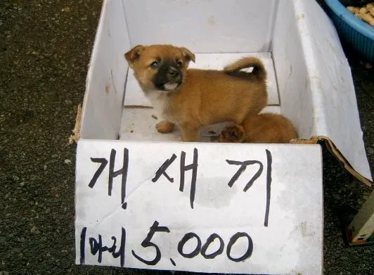 점차 깨어나는 사람들이 늘어나고 있어