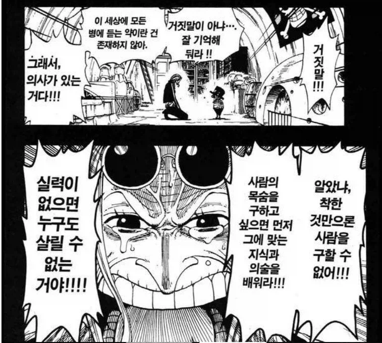 원피스 히루루크 밈을 꼭 왜곡이라고 할 수는 없는 이유_2.webp