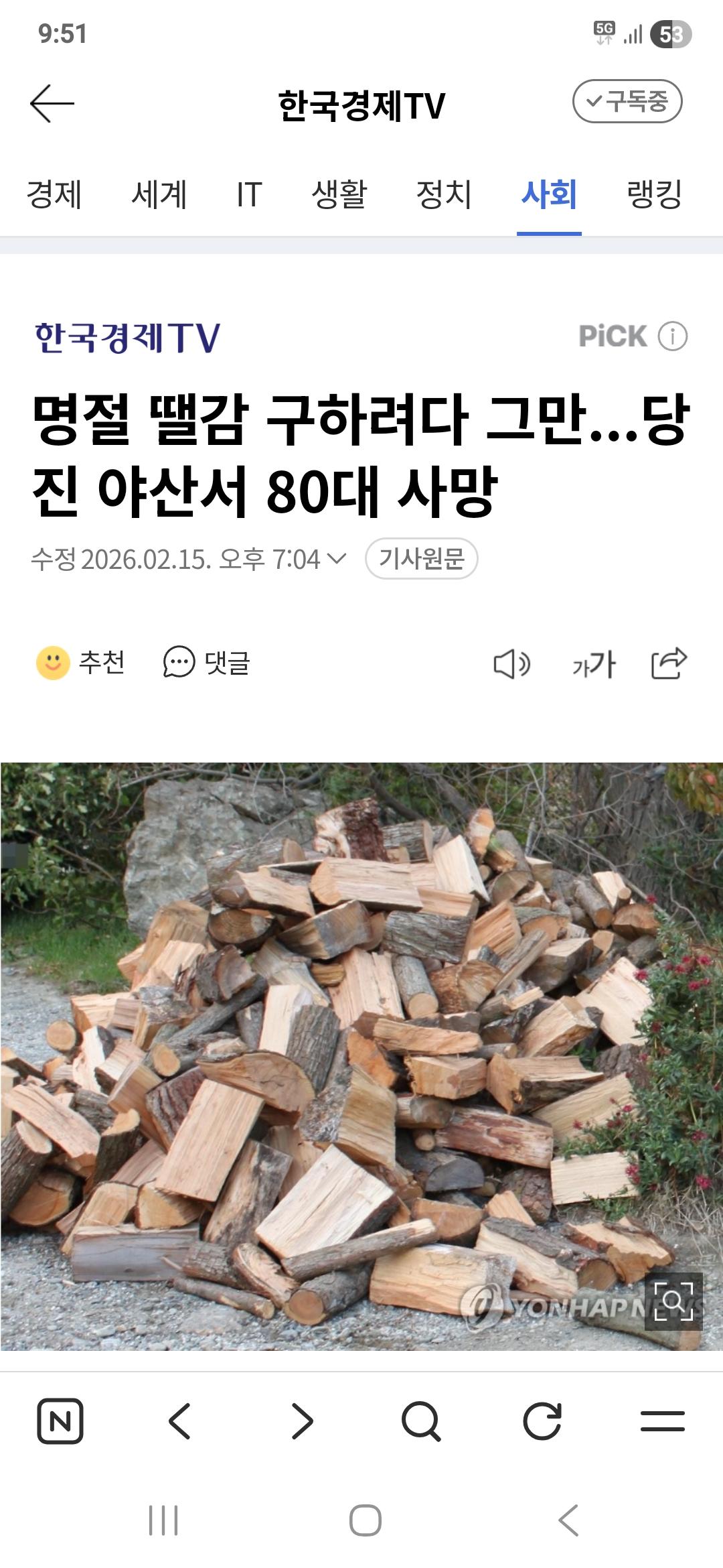 명절 땔감 나무베다 사망