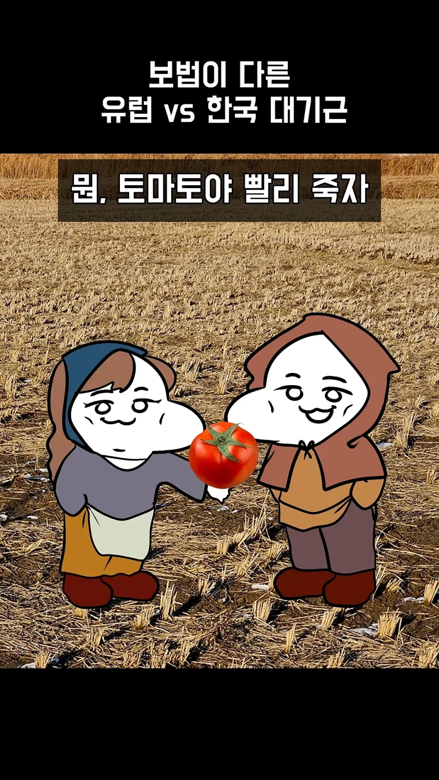 보법부터 다른 유럽 대기근_12.webp