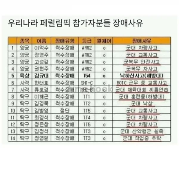 패럴림픽 참가자 장애사유