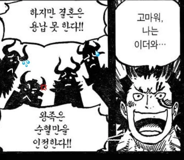 원피스 엘바프 장로들의 실제 모습_2.webp