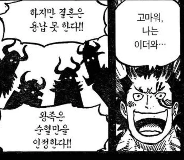 원피스 엘바프 장로들이 재평가받는 이유