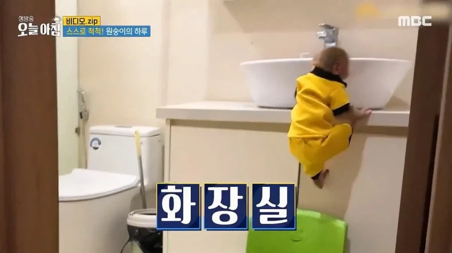 상위 1% 원숭이_5.webp