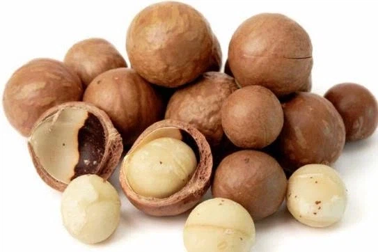 안녕하세요, 유게 고소빌런입니다._4.webp