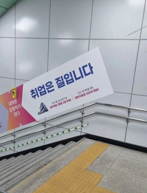 취업이 좃이 아닌 이유