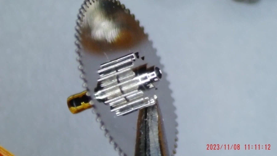 산호초 시계 에디션_9.webp