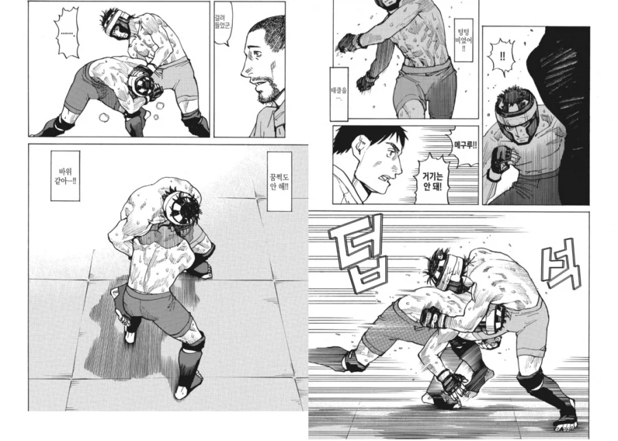 수싸움과 전략의 묘미가 좋았던 종합격투기(슈토) 만화_8.webp