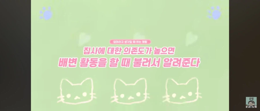 고양이가 집사를 