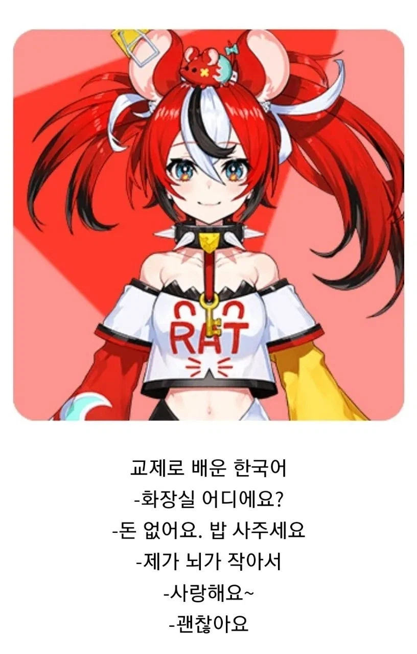 버튜버가 한국어를 배우는 방식.jpg_1.webp