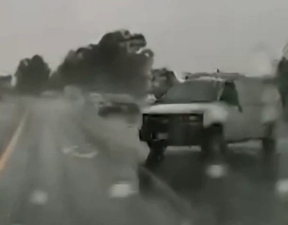 남편의 운전실력에 놀란 아내와 댕댕이