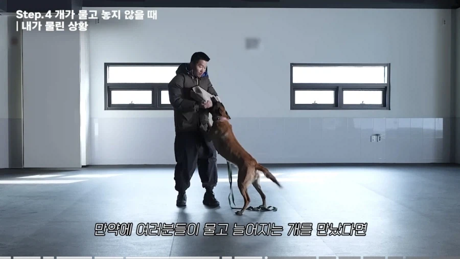 개물림 대처법 알려주는 강형욱_2.webp