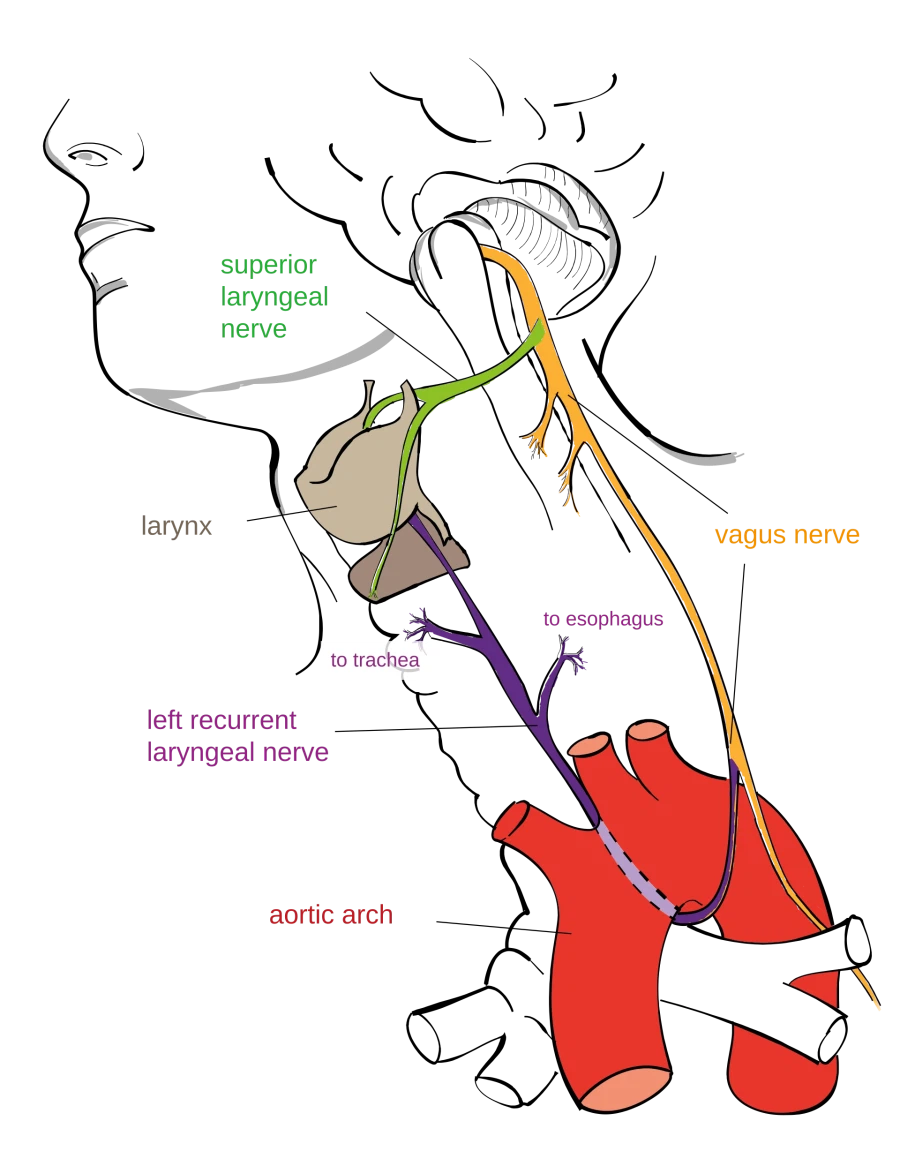 선정리 끝내주는 인체의 신비