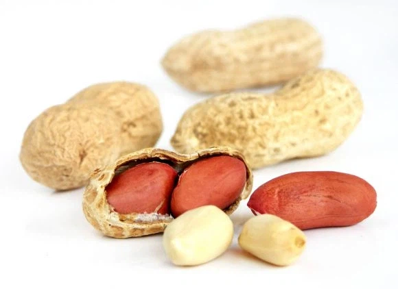 안녕하세요, 유게 고소빌런입니다.