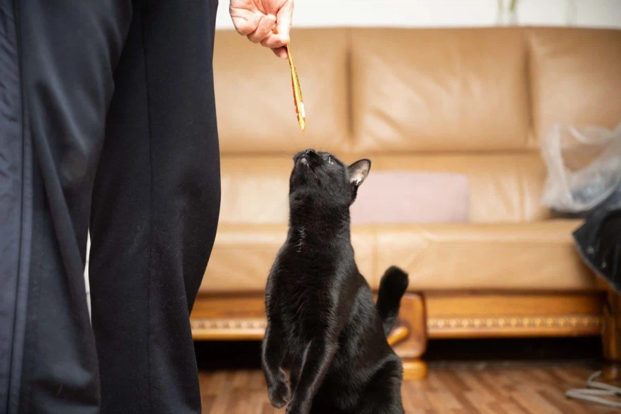 빚 갚을때 정신을 붙잡아준것...._7.webp