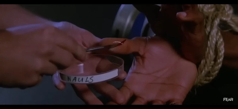 [혐] 점프스케어를 엄청 잘 활용한 영화.jpg_3.webp