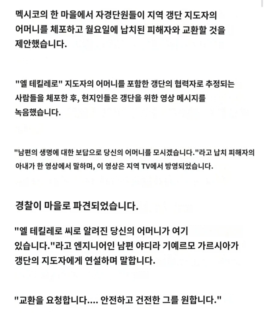 멕시코 갱단이 남편을 납치하자 빡쳐서 보스의 어머니를 납치한 와이프_3.webp