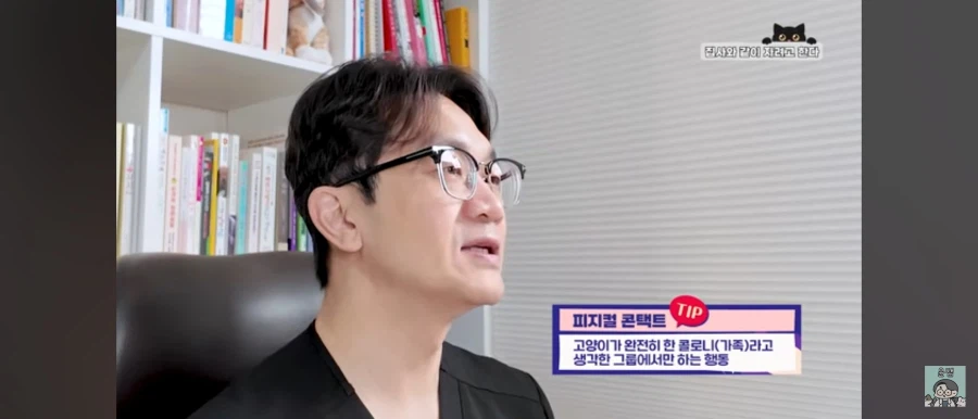 고양이가 집사를 