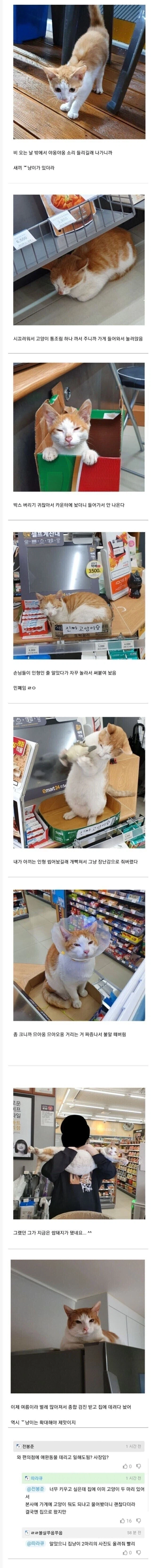 편의점 민폐덩어리.jpg