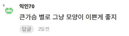 큰 가슴이 왜 좋은지 모르겠다는 여자.JPG_5.webp