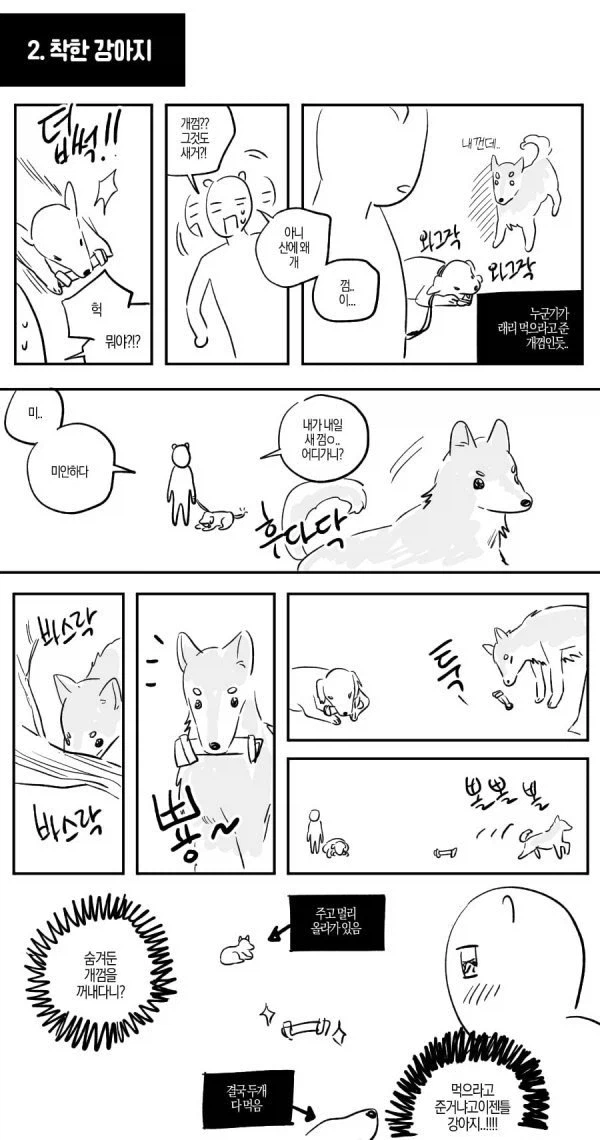 산에서 길 잃은 사람을 도와준 유기견.jpg_7.webp