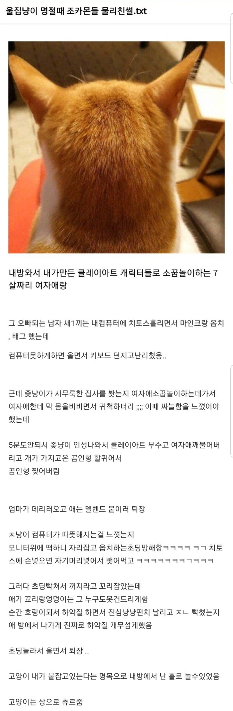 명절에 집사한테 은혜를 갚은 고양이