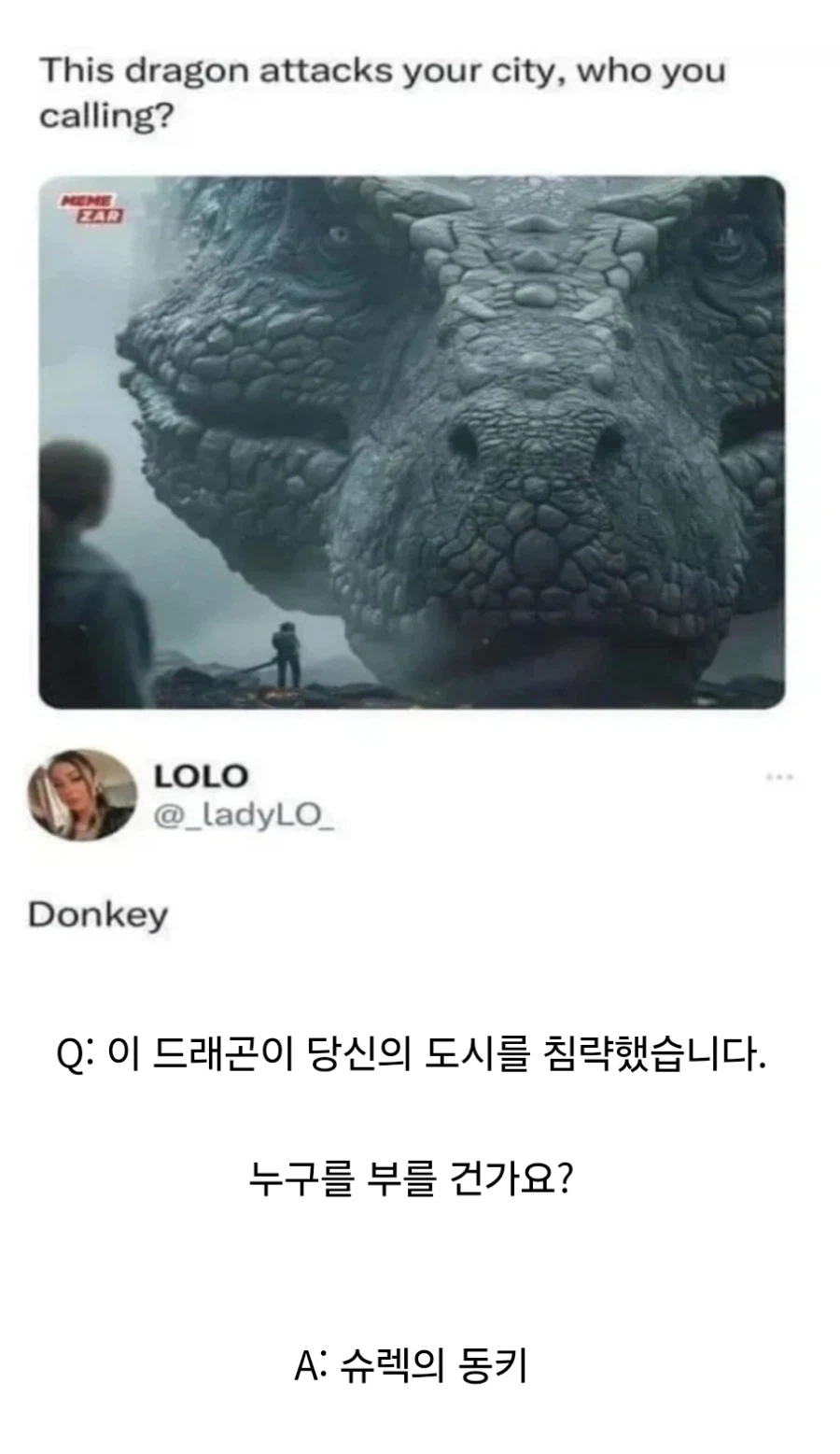 "이 드래곤이 당신의 도시를 침략했습니다."