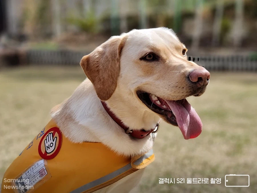 삼성이 33년동안 적자 보면서 유지해온 사업_9.webp