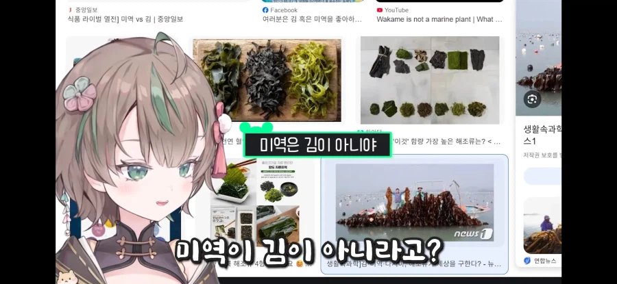 버튜버) 김 말린 게 미역이잖아요!_3.webp