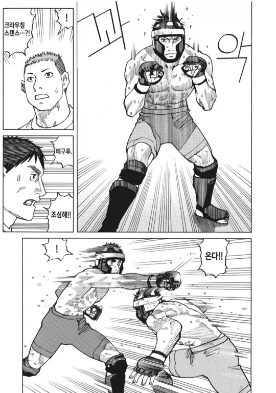 수싸움과 전략의 묘미가 좋았던 종합격투기(슈토) 만화_21.webp