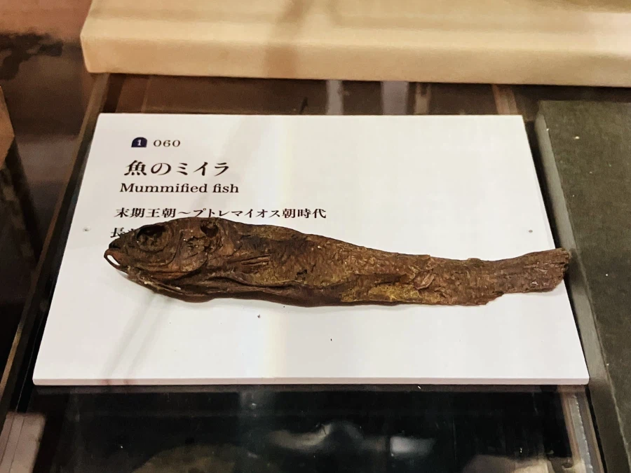 흔한 고대 이집트 전시물