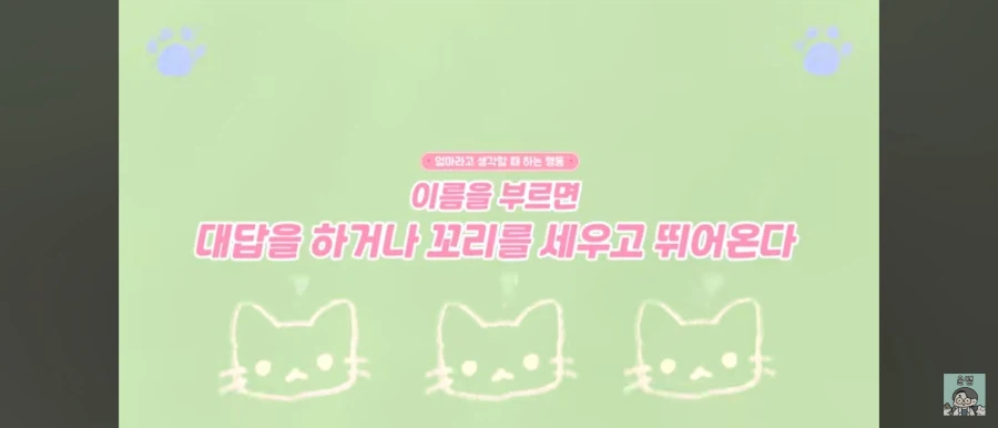 고양이가 집사를 