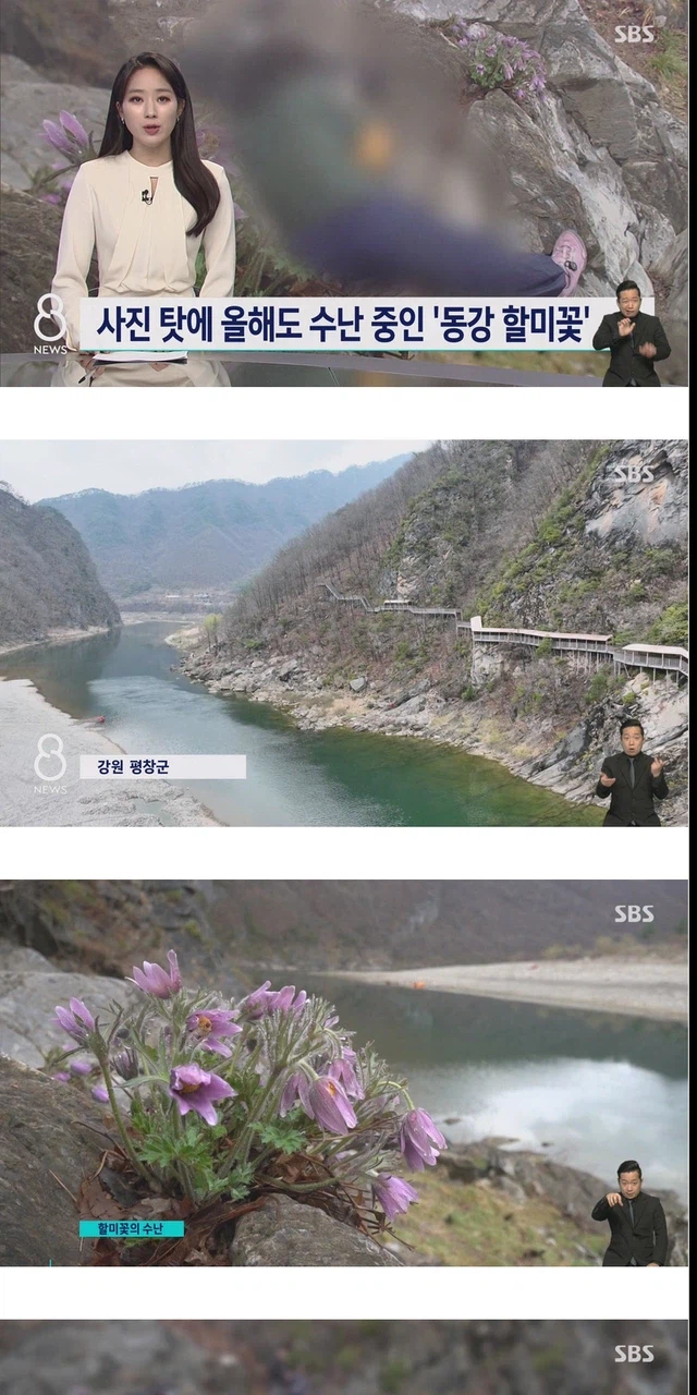 사진 작가들이 사진 찍고 훼손하는 이유.jpg_1.webp